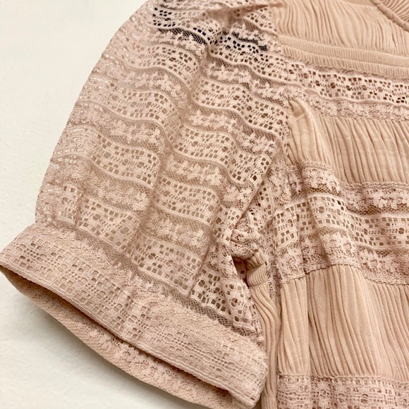 NWT Velvet by Graham & Spencer Dress - Picture 4 of 5